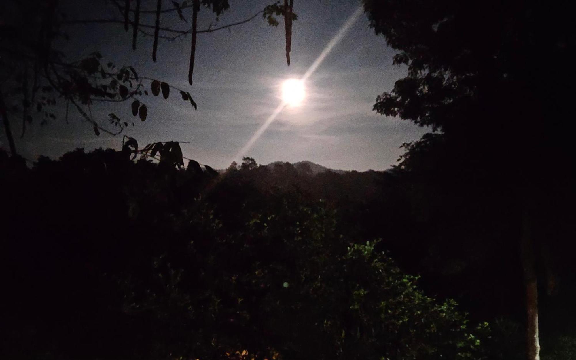 Balmy Hideout Cafe & Homestay Ban Huai Kaeo エクステリア 写真
