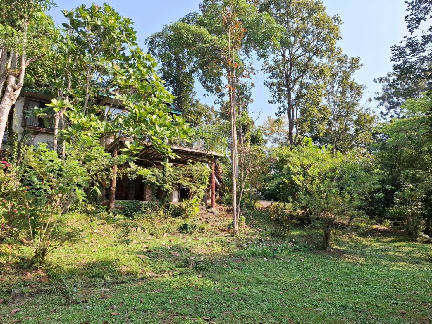 Balmy Hideout Cafe & Homestay Ban Huai Kaeo エクステリア 写真